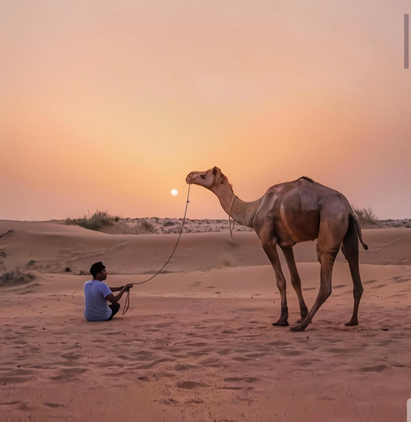 The Saffron Desert Camp Jaisalmer Exteriör bild
